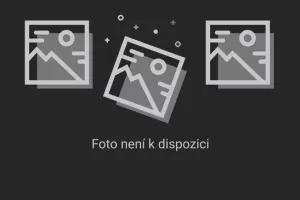 Rodenovi došly peníze? Zámek chátrá dál