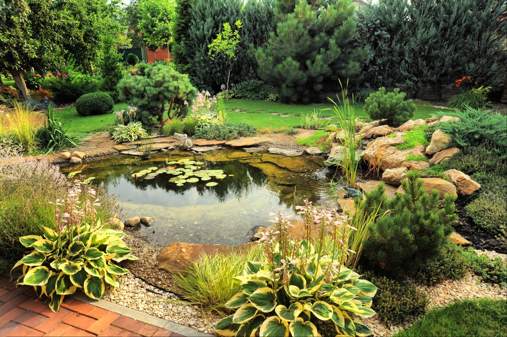 Landscape design