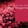 Viva Magenta - Foto - Depositphotos