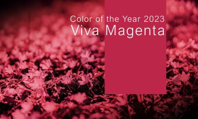 Viva Magenta - Foto - Depositphotos