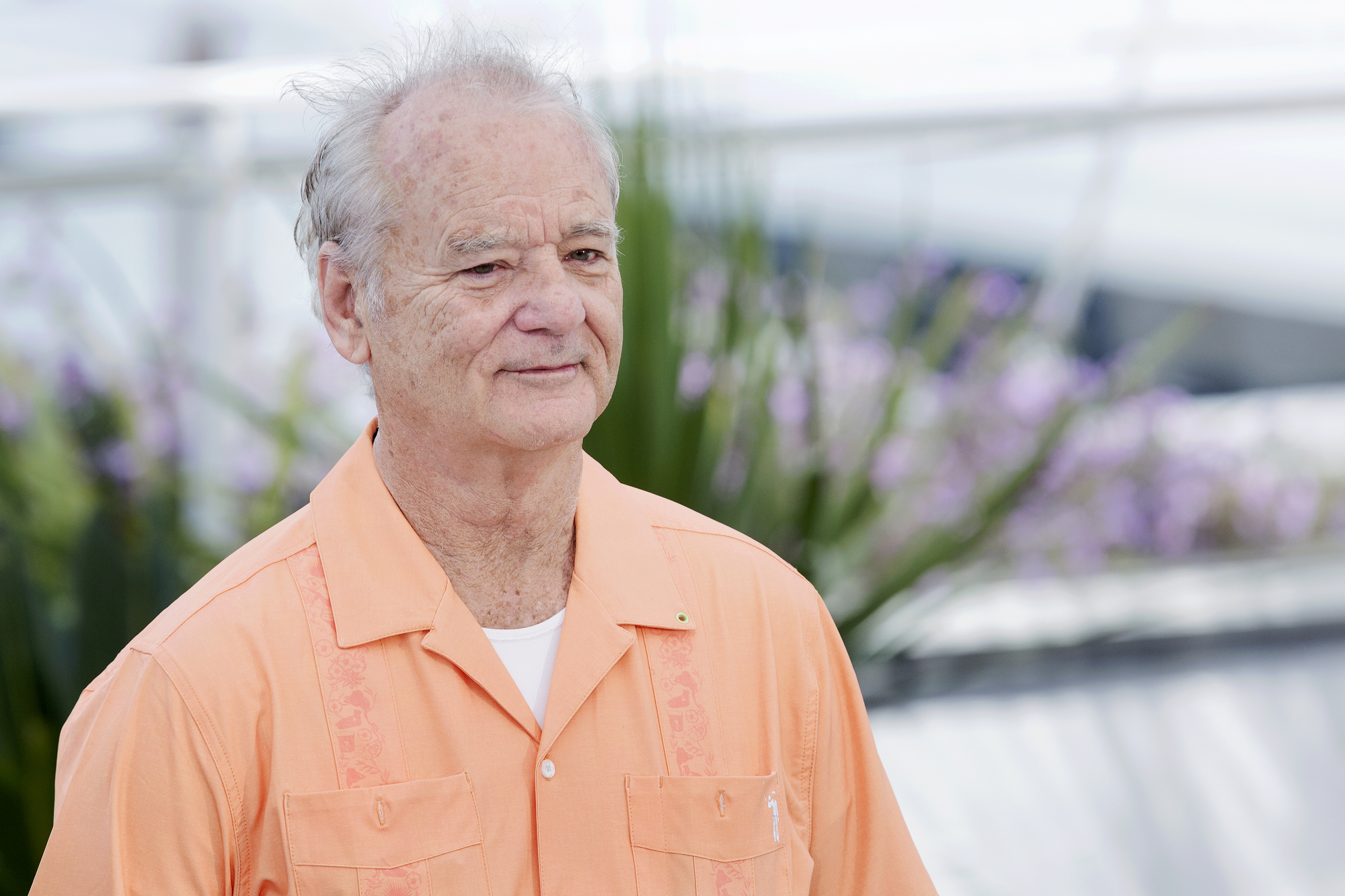 Bill Murray - Depositphotos