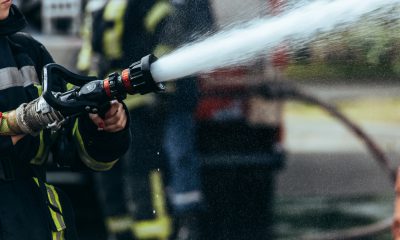 Zdroj: Depositphotos