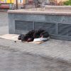 Zdroj: Depositphotos