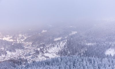 Zdroj: Depositphotos