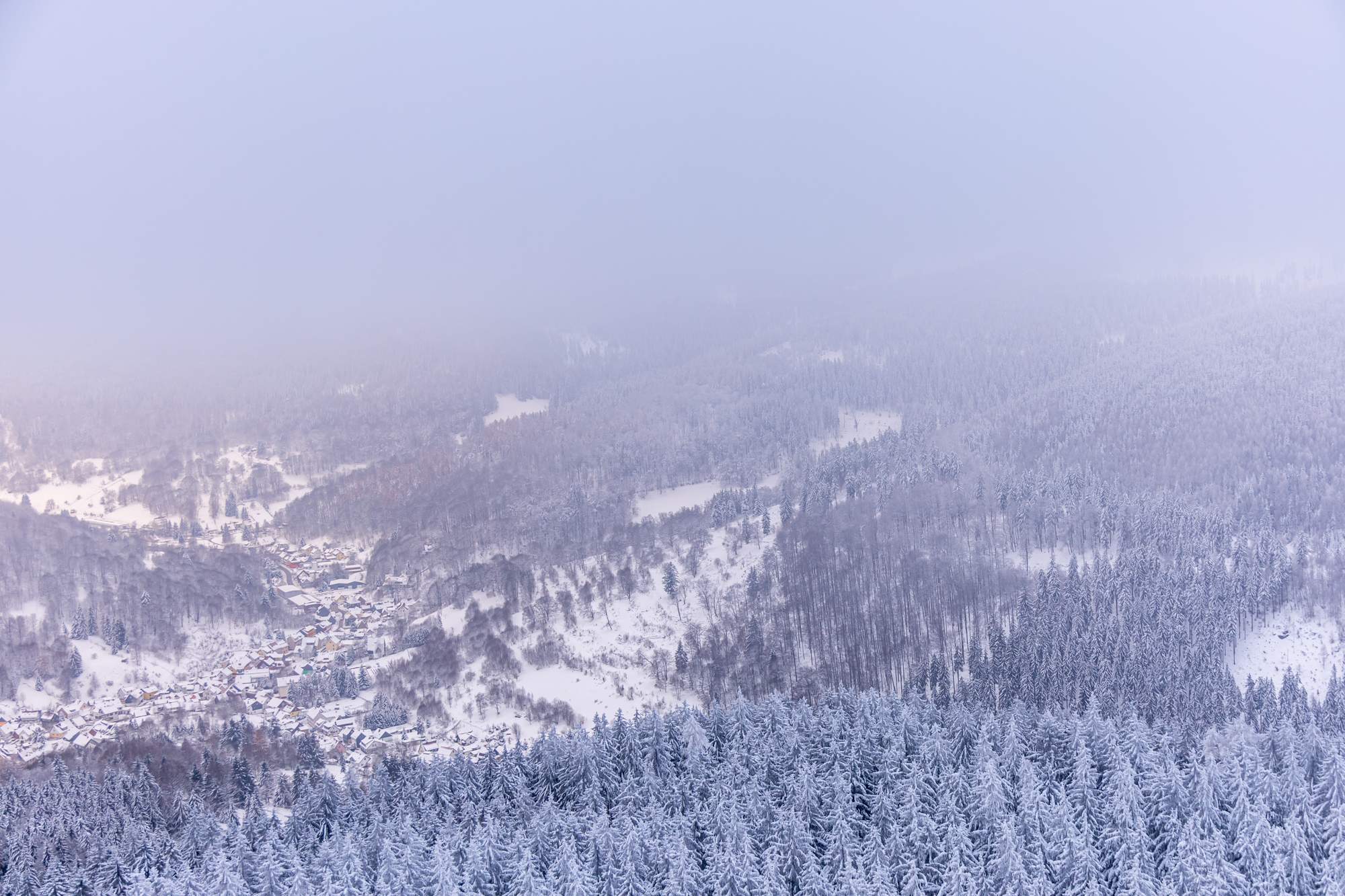 Zdroj: Depositphotos