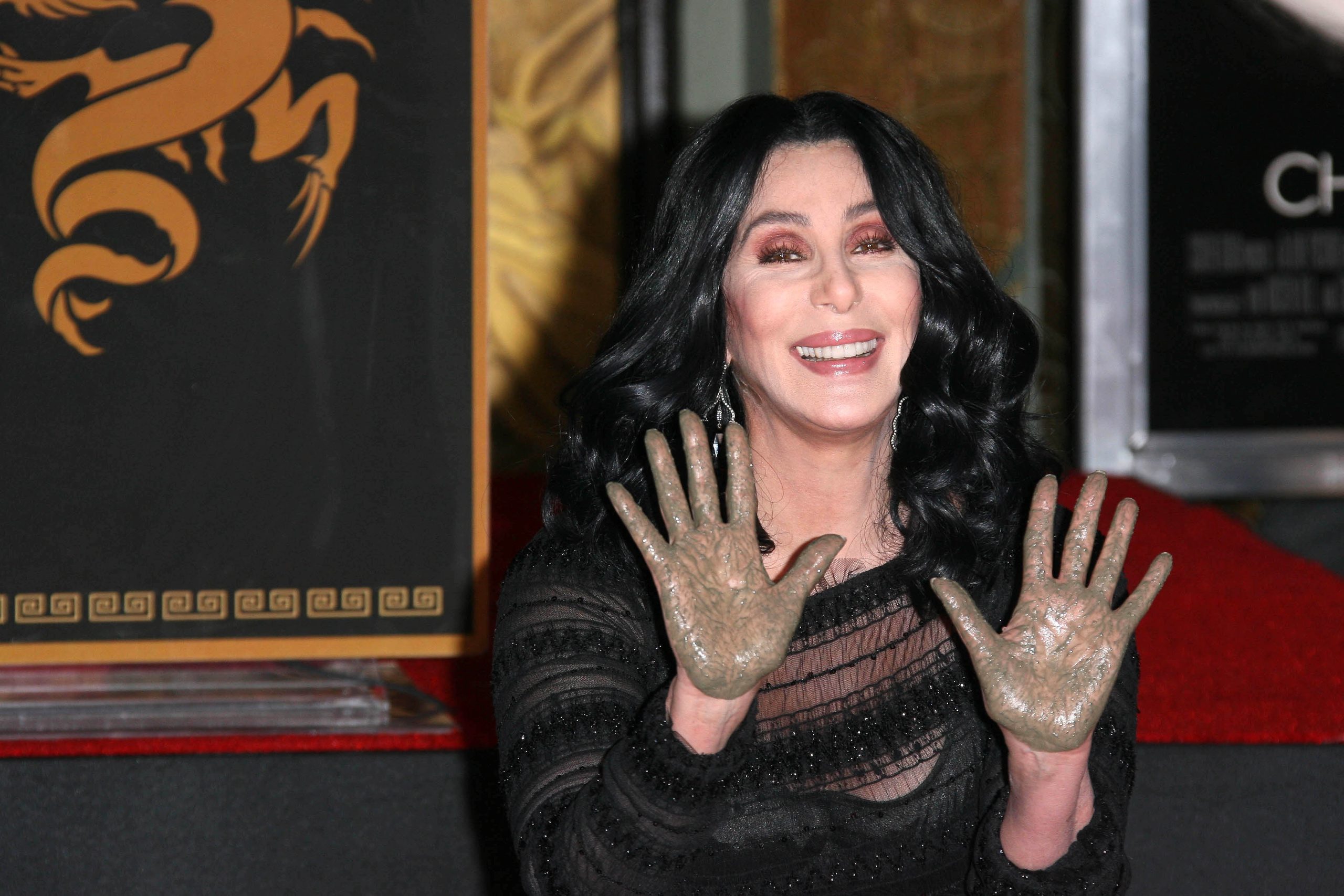 Zpěvačka a herečka Cher