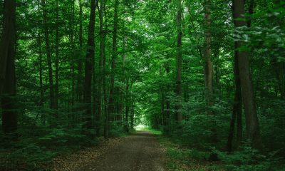 Zdroj: Depositphotos