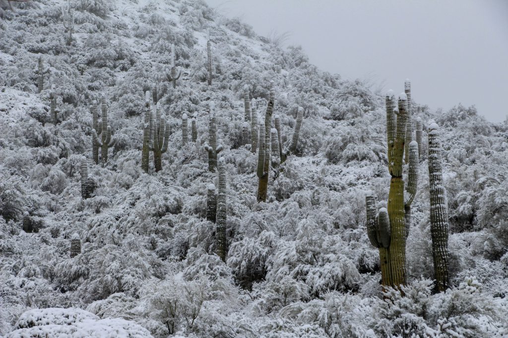 Zdroj: Depositphotos