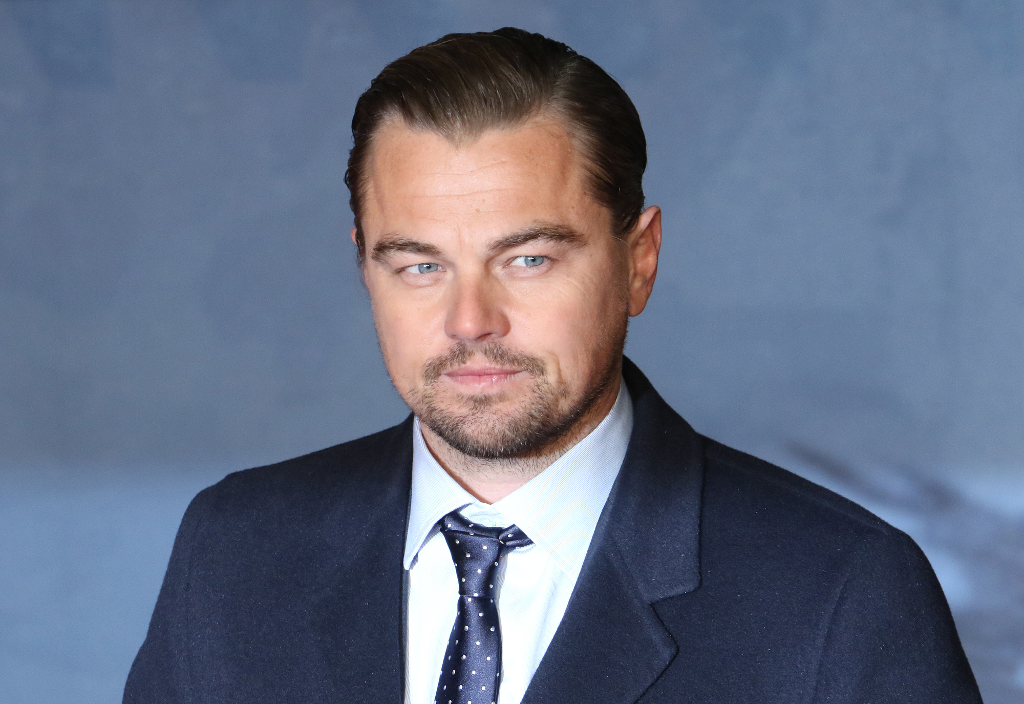 Leonardo di Caprio - Zdroj: Depositphotos