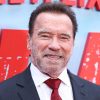 Arnold Schwarzenegger - Zdroj: Depositphotos