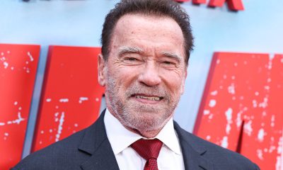 Arnold Schwarzenegger - Zdroj: Depositphotos