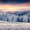 Zdroj: Depositphotos