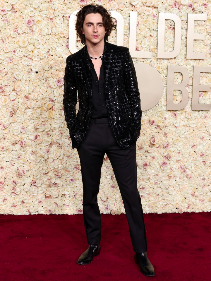 Timothée Chalamet - Zdroj: Facebook