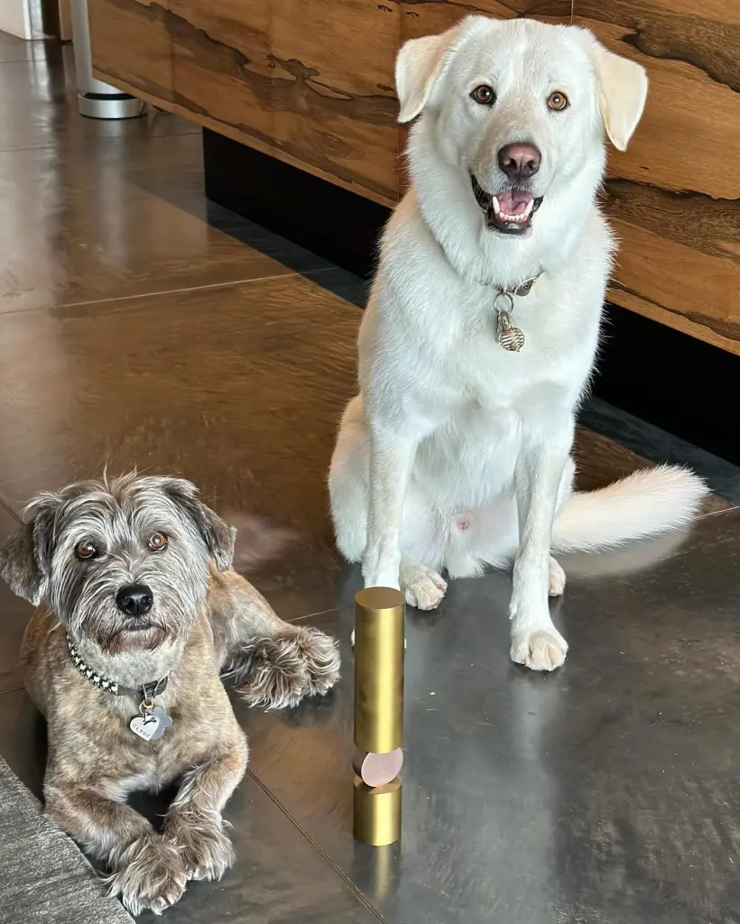 Zdroj: jenniferaniston/Instagram