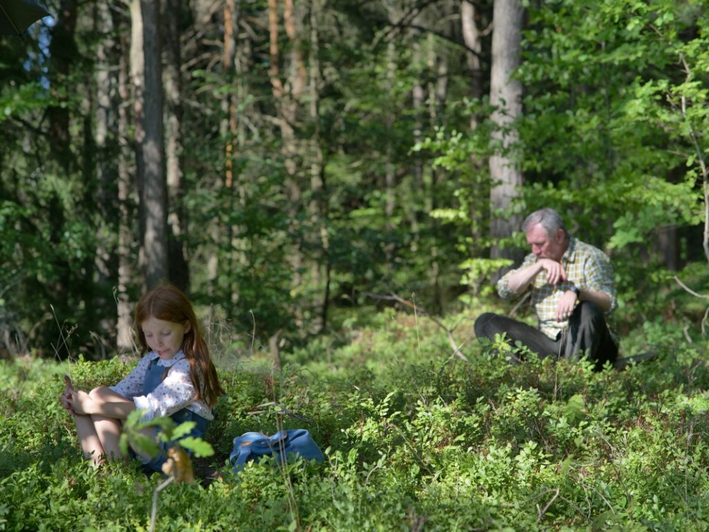 Světýlka / Bontonfilm