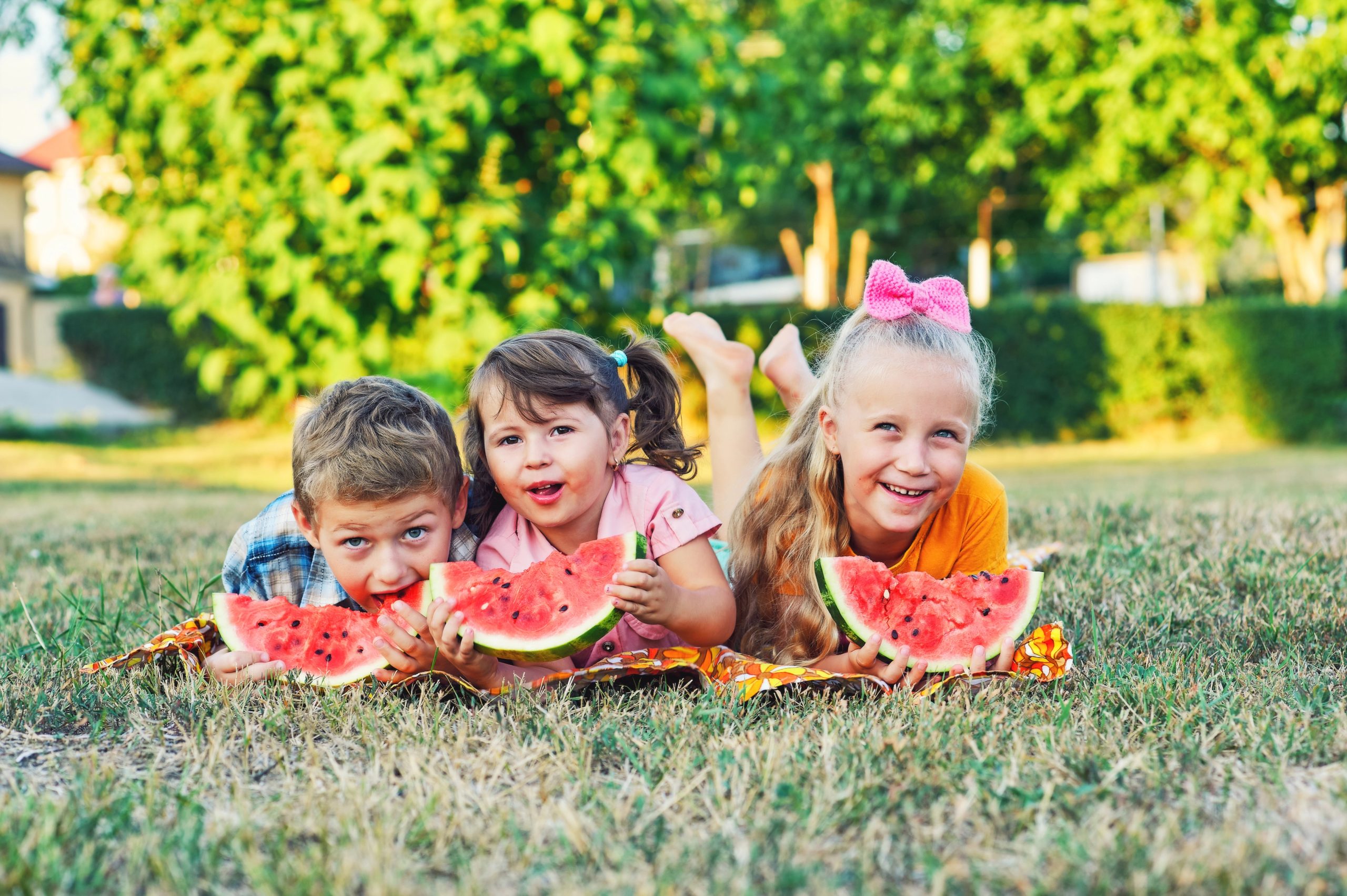 jablka / Foto: Depositphotos