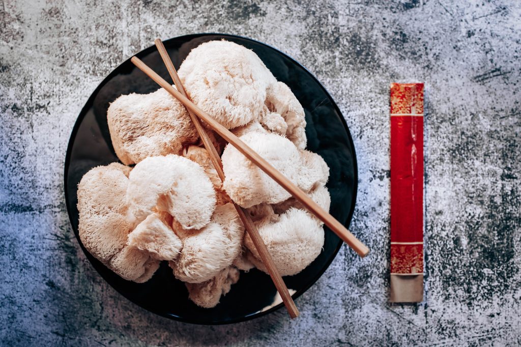 Korálovec ježatý / Foto: Depositphotos