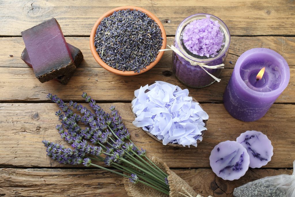 Levandule / Foto: Depositphotos