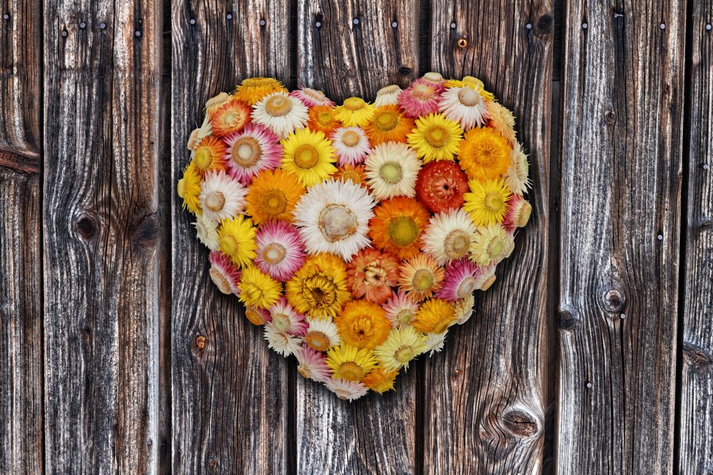 srdíčko ze sušených květů / Foto: Depositphotos