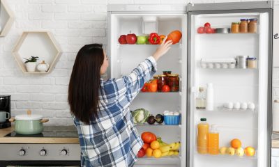 lednice / Foto: Depositphotos