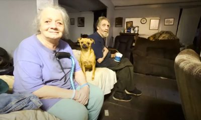 Whittakerovi / Foto: Soft White Underbelly