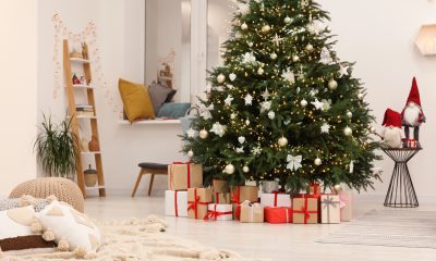 Vánoční strom / Foto: Depositphotos