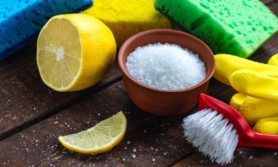 Přírodní čističe / Foto: Depositphotos