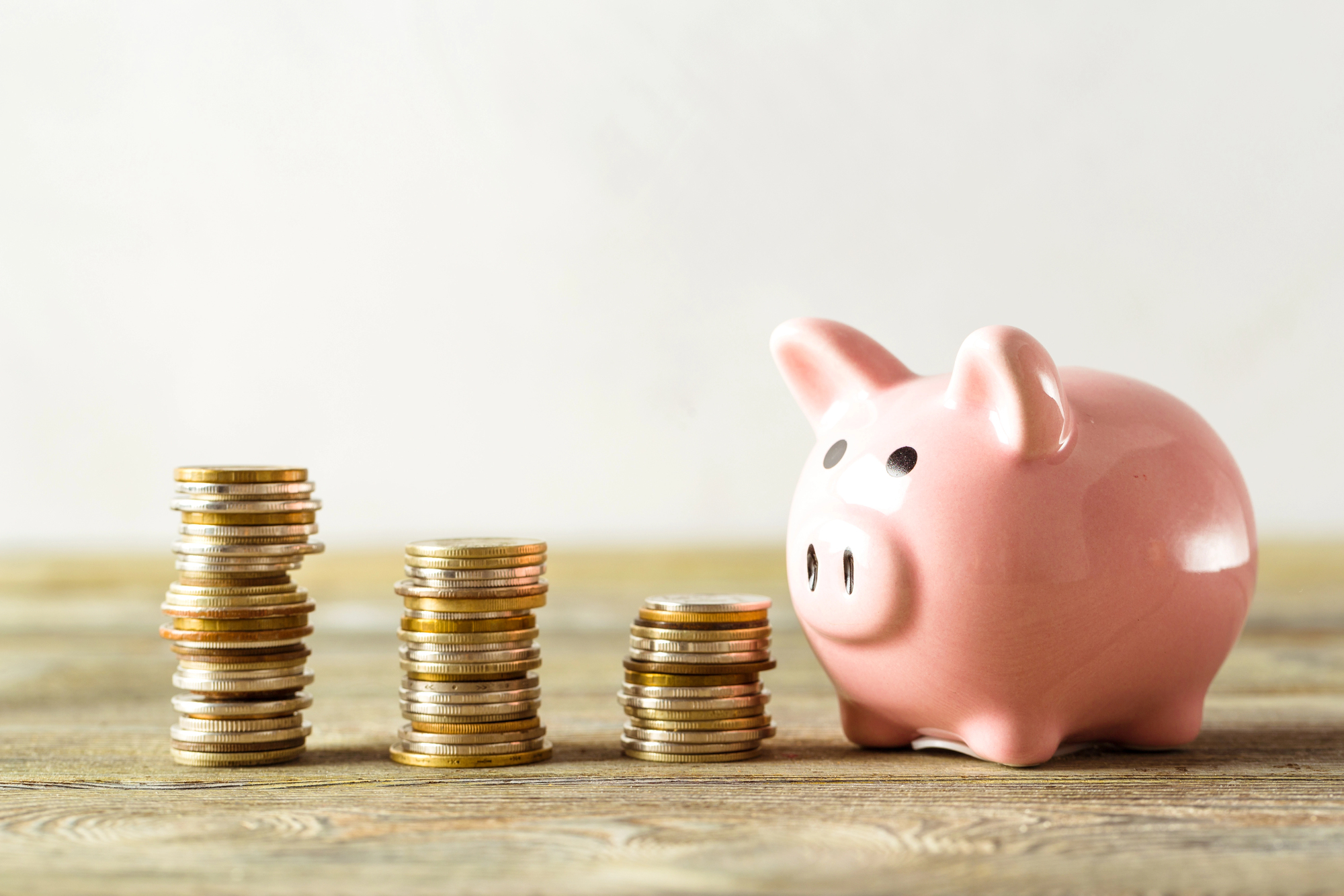 Prasátko s mincemi / Foto: Depositphotos