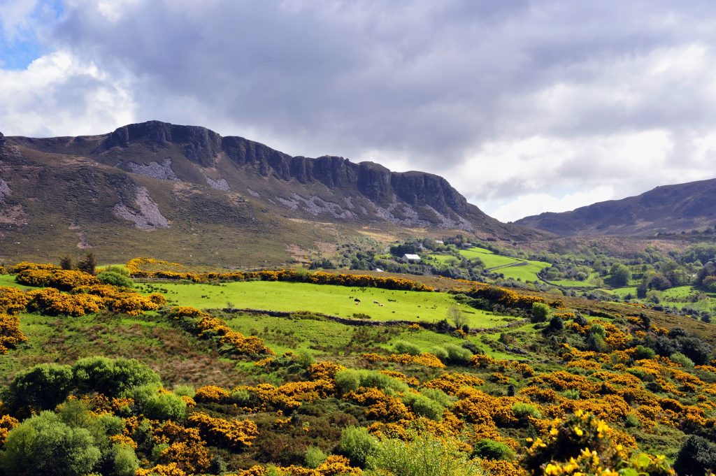 Ring of Kerry / Foto: Depositphotos