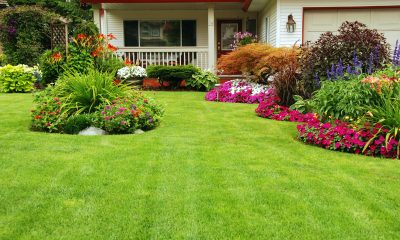 udržovaná zahrada / Foto: Depositphotos