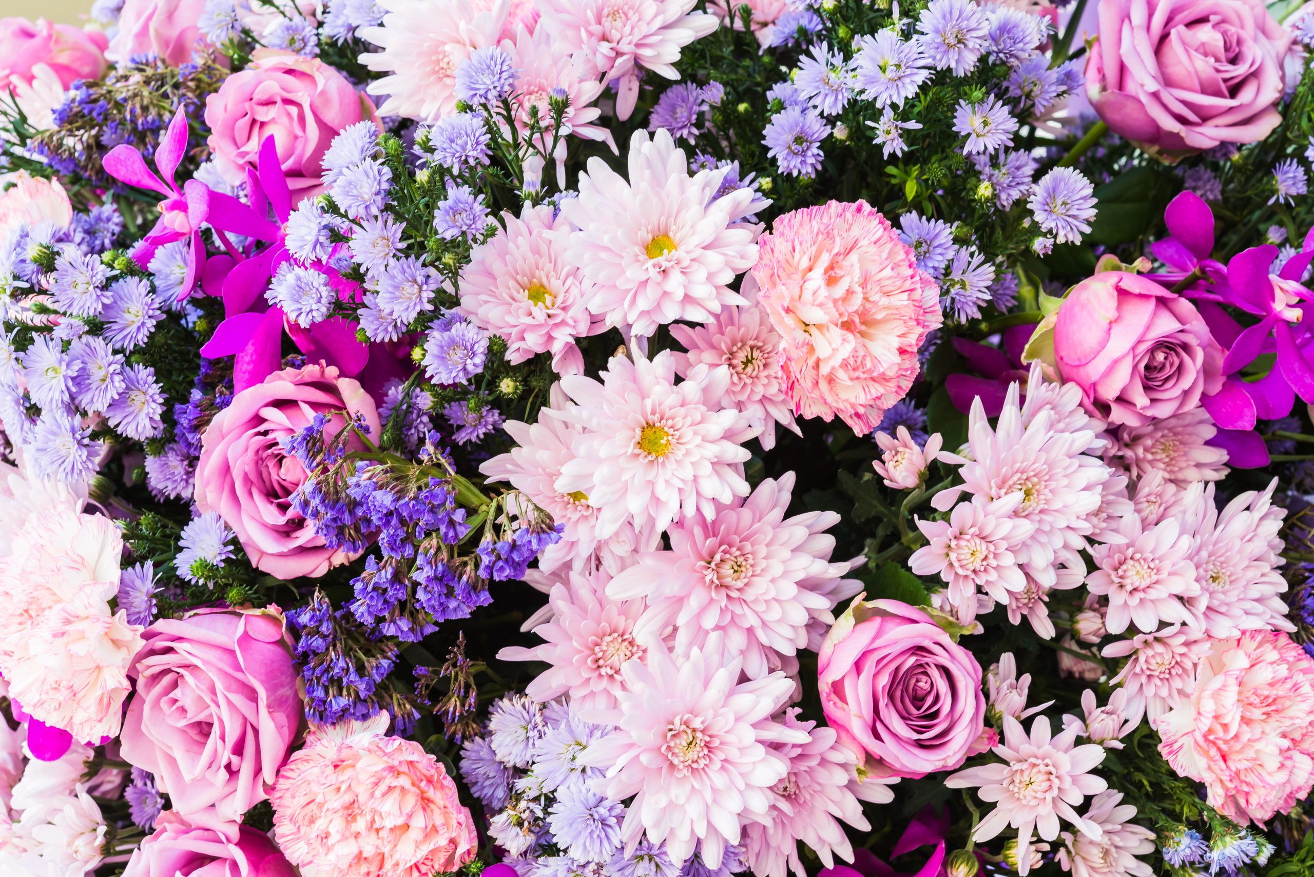 Různe druhy květin / Foto: Depositphotos